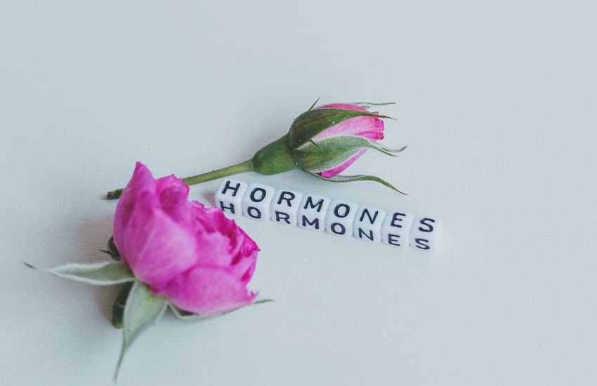 ormoni in menopausa